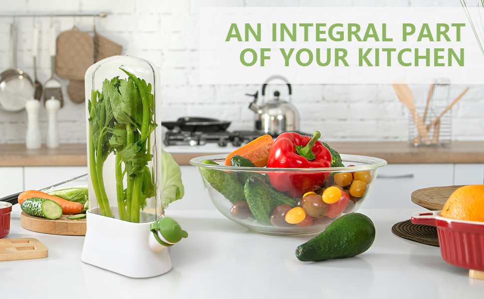 herb-saver herb-keeper fresh fresh-herbs herb-storage