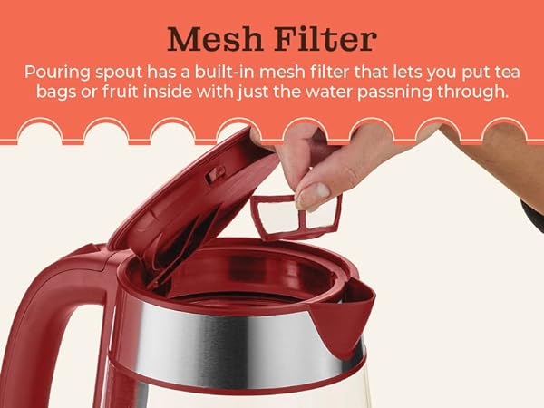 mesh filter