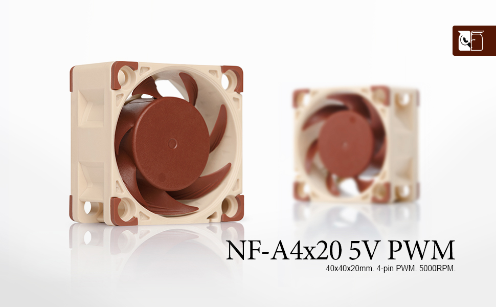 NF-A4x20 5V PWM header