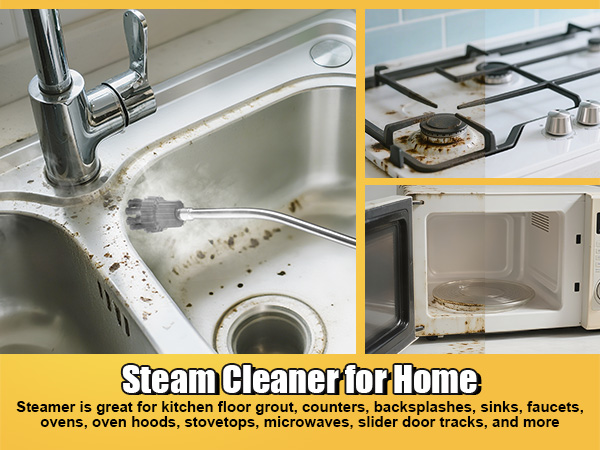 hand held steam cleaner