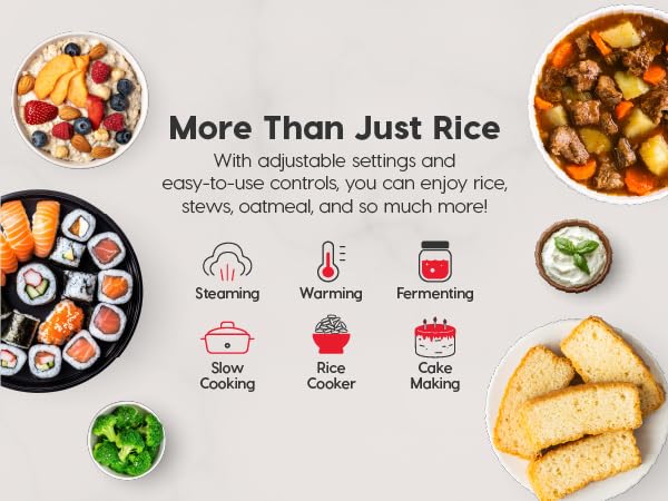 IRIS USA Micom Japanese Rice Cooker, 3-Cup Uncooked/6-Cup Cooked, Fuzzy Logic Kitchen Appliance