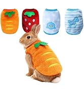 RISESAILS Ultra-Small Pet Winter Clothes, 4-Piece Luxuriously Soft Coral Fleece Set, XS Size for ...