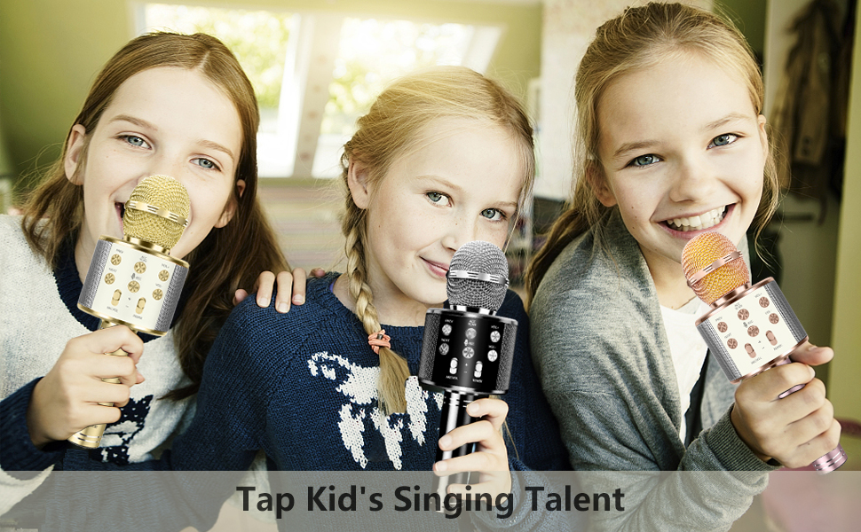 Karaoke Microhone for home party brithday christmas