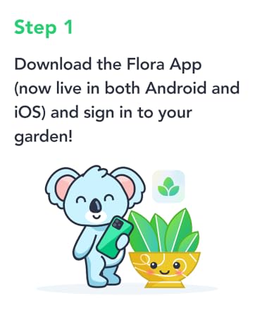 plant care; flora; florasense; spray mist bottle; water plants; plant mister; plant misters inside