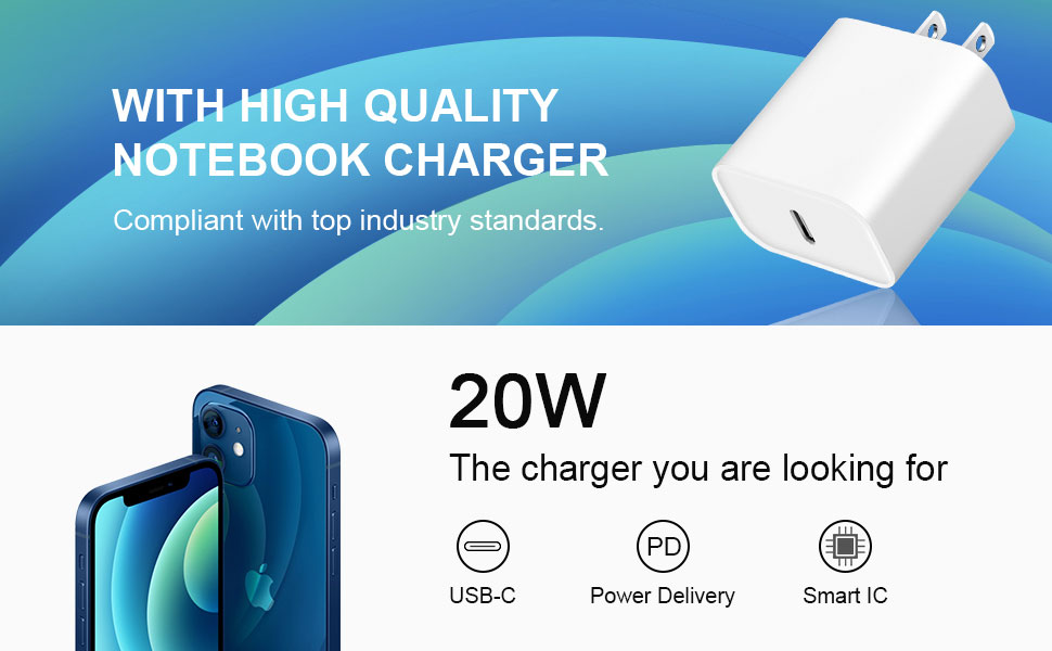 20W Charger