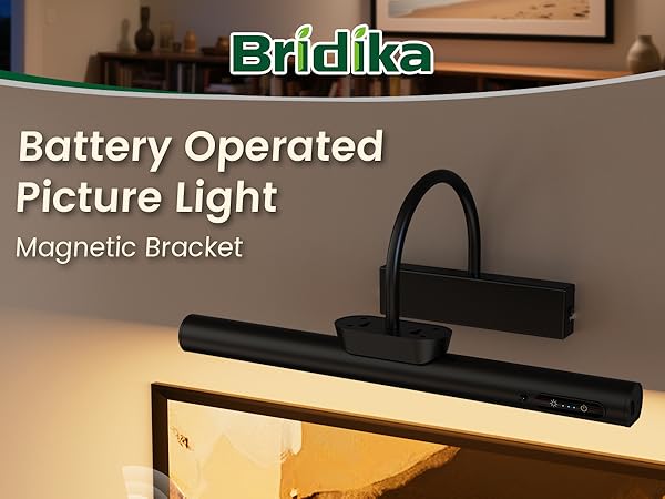  picture light