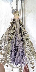 https://m.media-amazon.com/images/S/aplus-media-library-service-media/4c28a28d-31d3-4ea6-8904-70804a12140d.__CR65,0,406,812_PT0_SX150_V1___.jpg