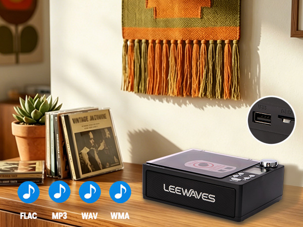 MP3/WMA/WAV/FLAC | Up to 128GB | FAT/FAT32 only (NTFS not supported)