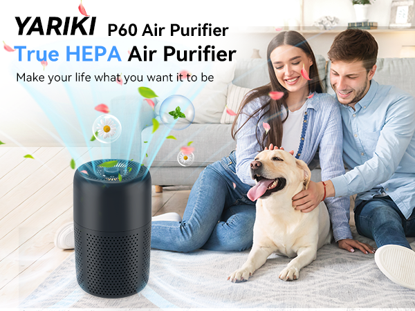 P60 Air Purifiers