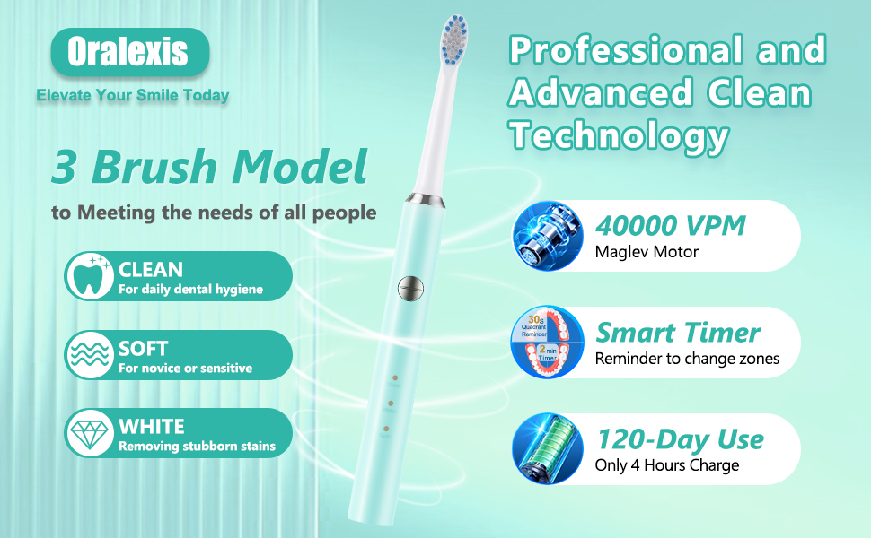 3 brush models meet all people