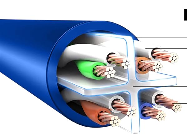 100ft Ethernet Cable