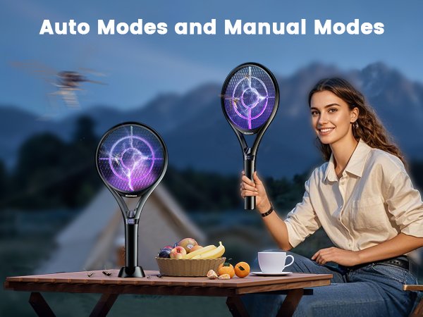 electric fly swatter