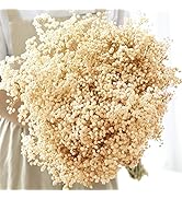 5000+ Dried Baby's Breath Flowers Bouquet - Upgraded Large Pack Natural White Flowers Bulk, Gypso...