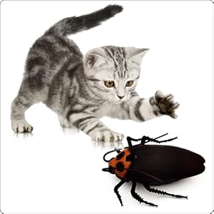 rc cockroach remote control roach animal pet cat dogs toy gifts