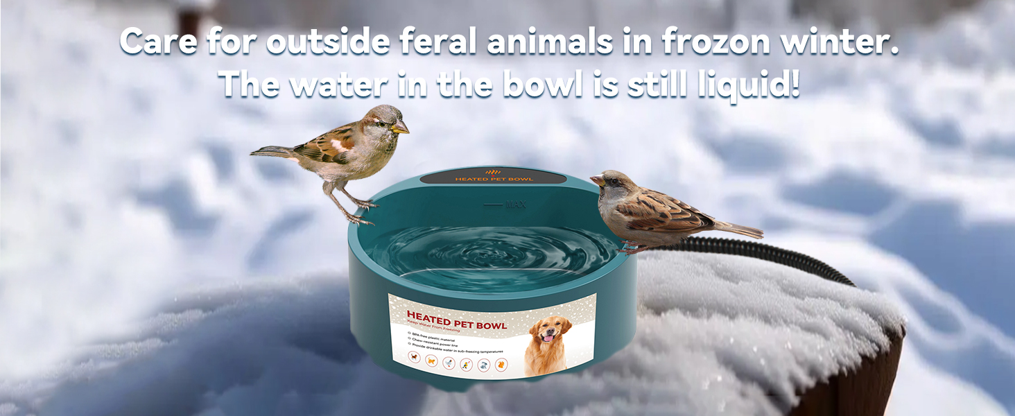 Birds Bath Bowl