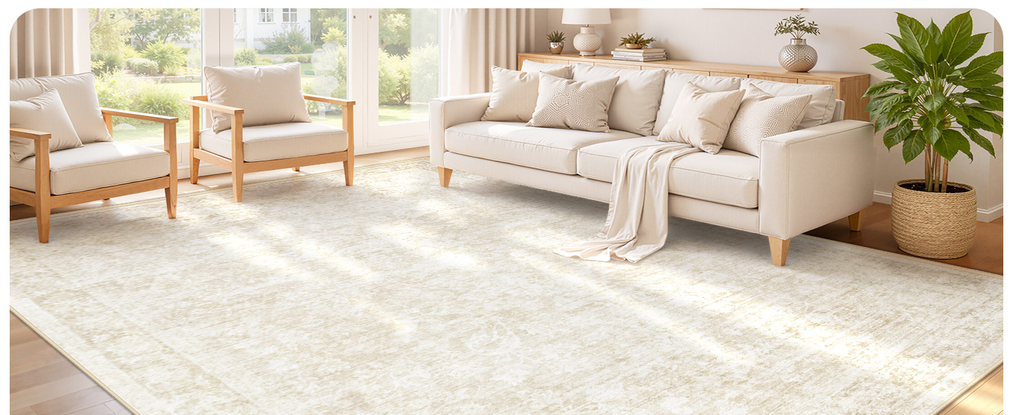 Living Room Rug