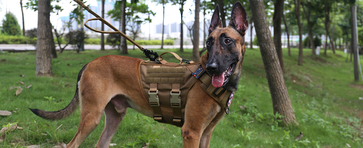 Large dog harness
