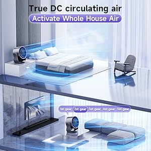 True DC Circulating Air