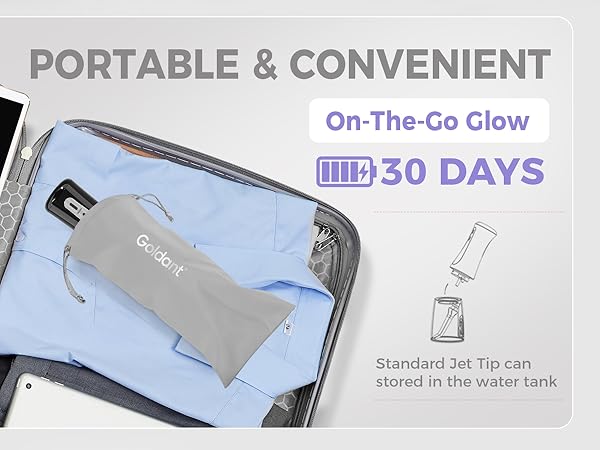 portable water flosser