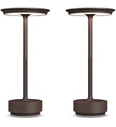 FDIDC 2 Pack Rechargeable Cordless Table Lamps, 5000mAh Portable LED Table Light, 3 Color Steples...