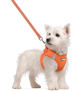 rabbitgoo Dog Harness Small Sized and Leash Set, Step in Soft Light Puppy Vest, Breathable Mesh P...