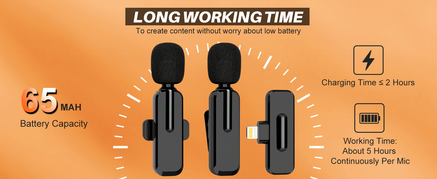 mic