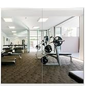 Delma Home Gym Mirror,54''x30''x2PCS,Large Full Body Tempered Glass Frameless, Wall-Mounted for G...