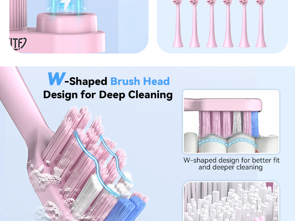 electric toothbrush
