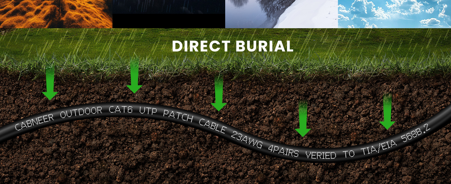 100 ft ethernet cable