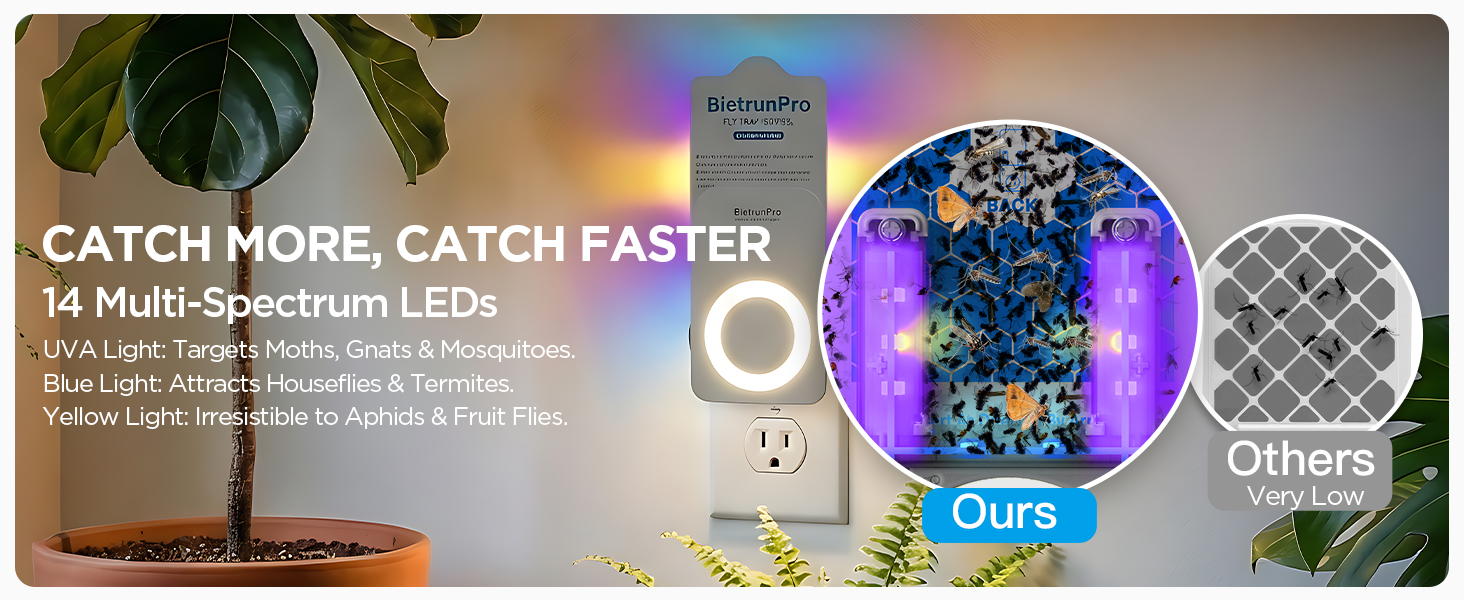 fly killer gnat killer plug in best safe electric flying insect trap fruit fly bug blue UV light
