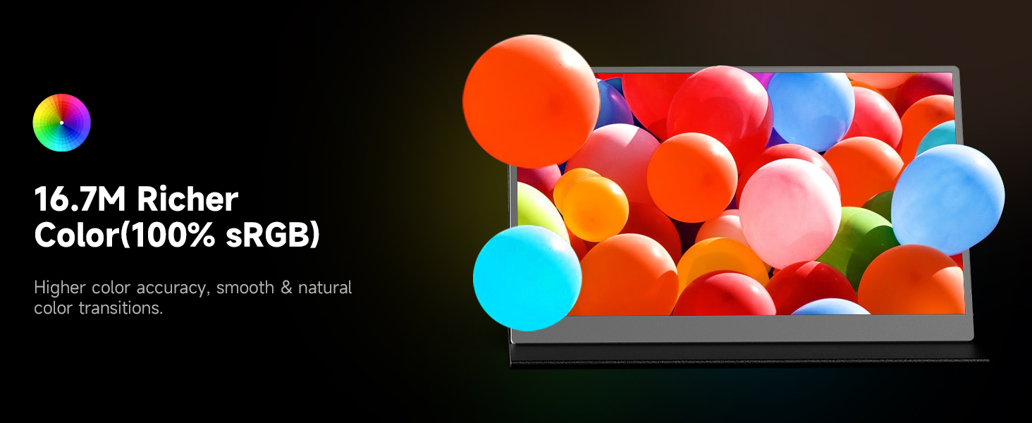 AYY Portable Monitor