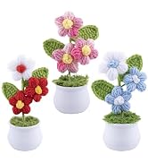 KINCHYGO, 3 Pack Knitting Crochet Puff Flower Potted Plants Gradient Color Handmade Knitted Flowe...