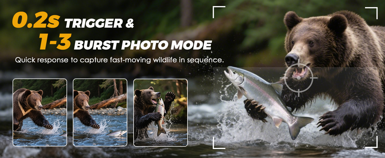 trail camera with night vision motion activated