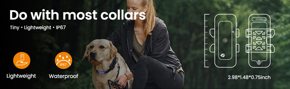 gps dog collar