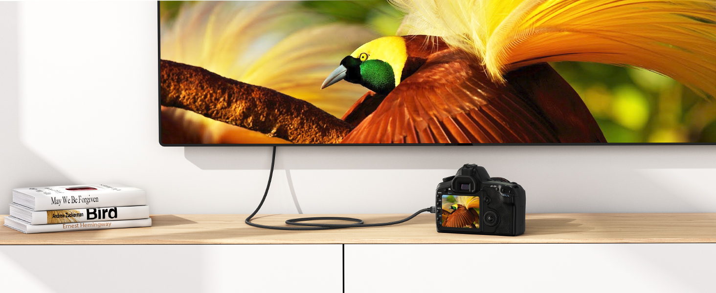 cameras micro hdmi to hdmi cable