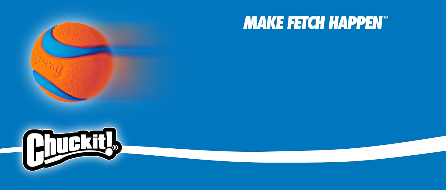 Chuckit! Make Fetch Happen