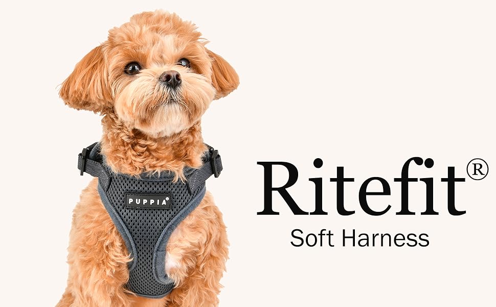 Ritefit Banner