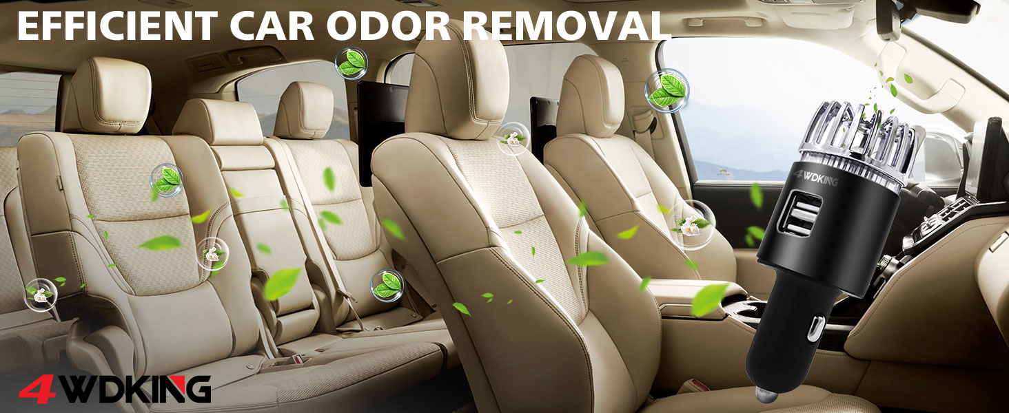 Ionic Ozone Car Deodorizer