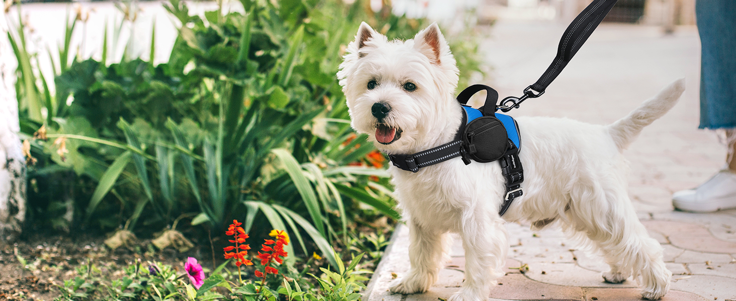 dog harness1-2