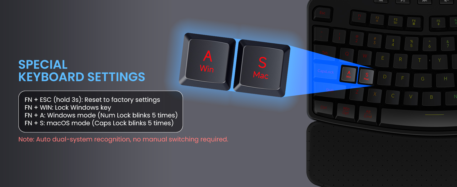 wireless keyboard ergonomic