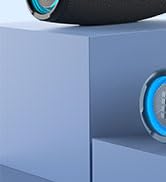 Loud Speaker