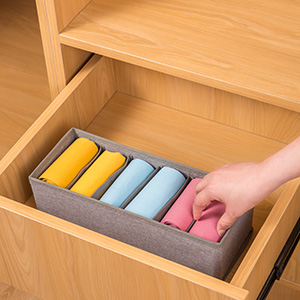 sock underwear organizer