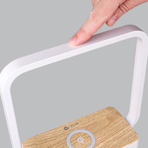 Touch Sensitive Switch Adjust Brightness Color Mode Change Settings