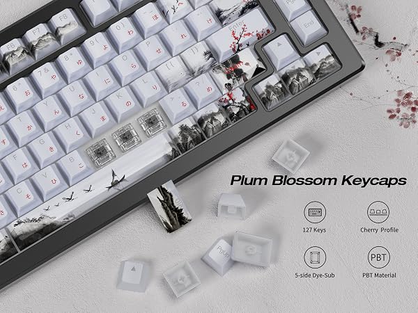 pbt keycaps