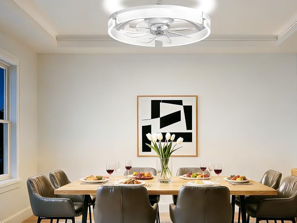 modern ceiling fan with light