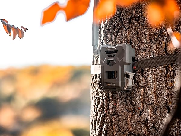 FLEX-M Camera on tree with strap spypoint cellular trail cameras