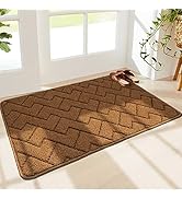Walensee Indoor Doormat, Front Door Mat for Entrance (36