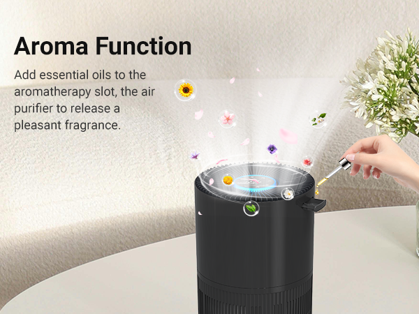 Home Air Purifier