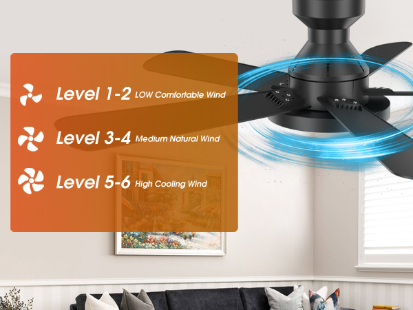 flush mount ceiling fan with light, 6 fan speeds adjustable,