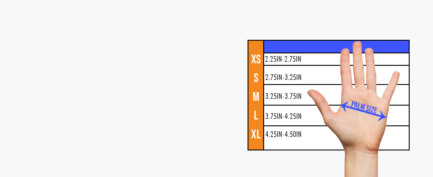 palm size chart
